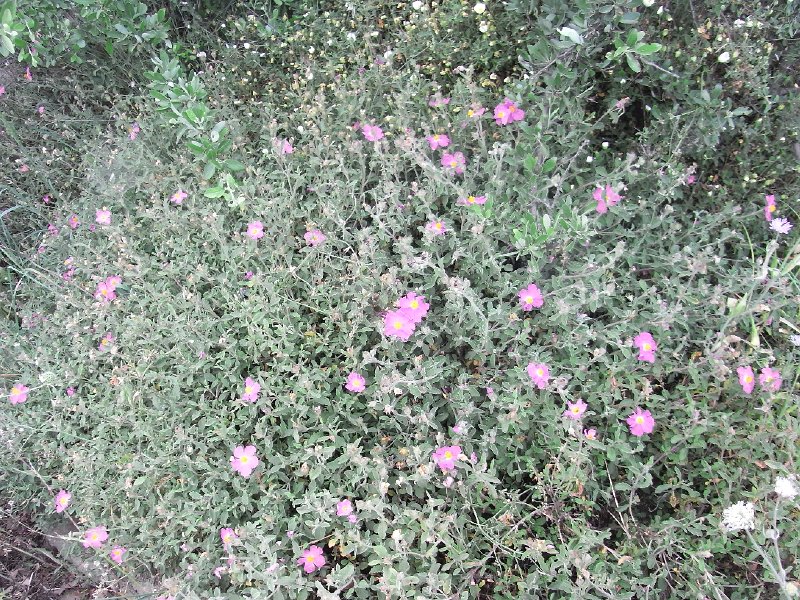 R0011755.JPG