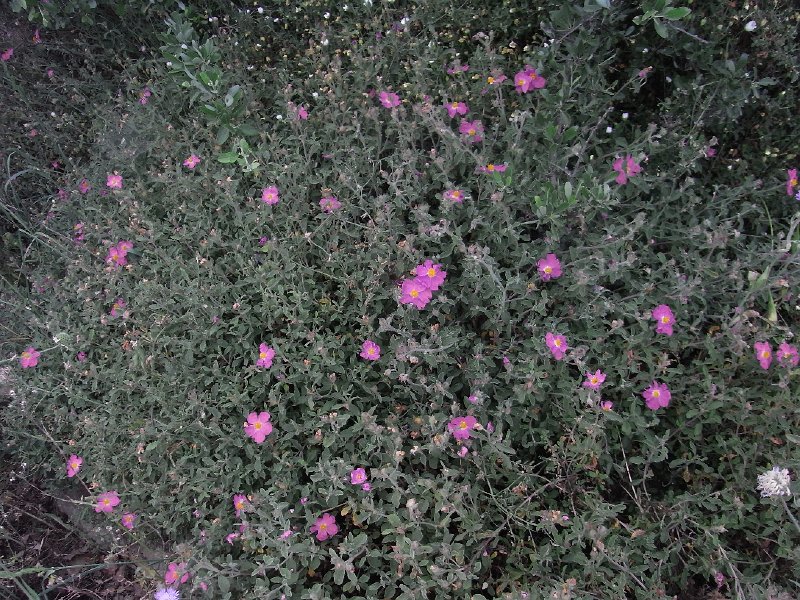 R0011756.JPG