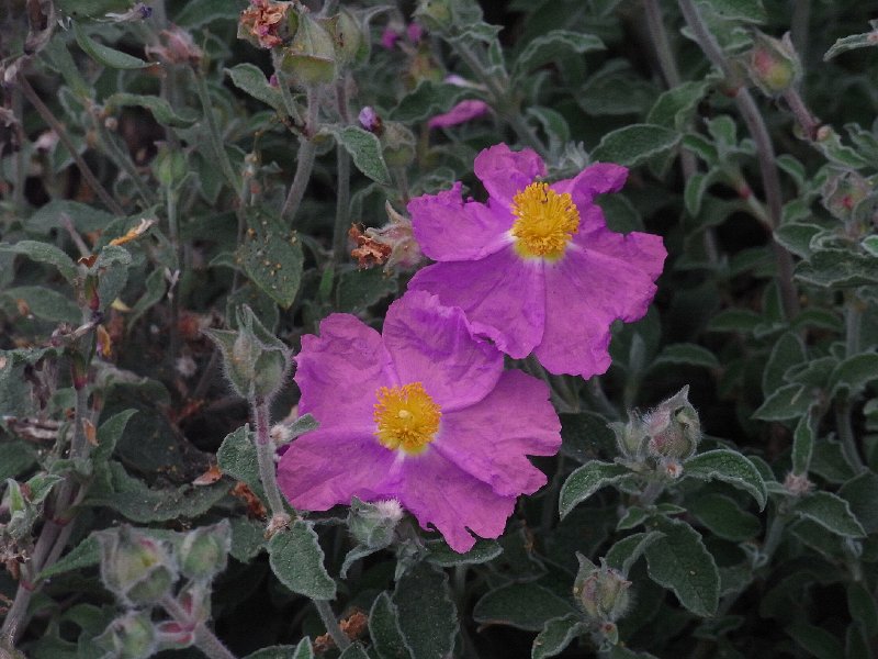 R0011757.JPG