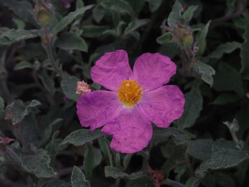 R0011758.JPG
