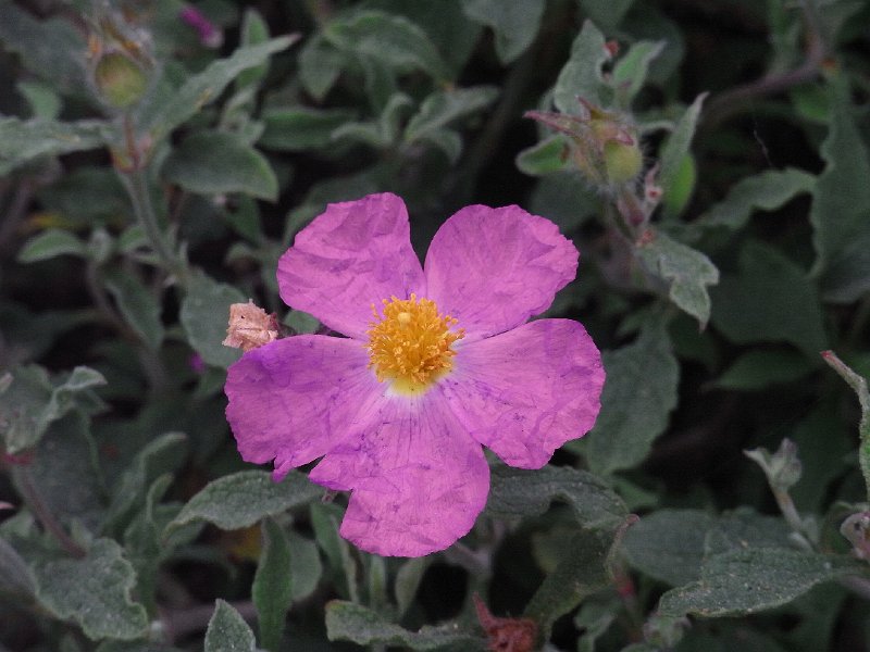 R0011759.JPG