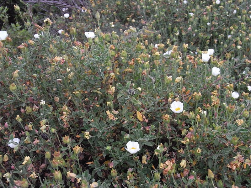 R0011761.JPG