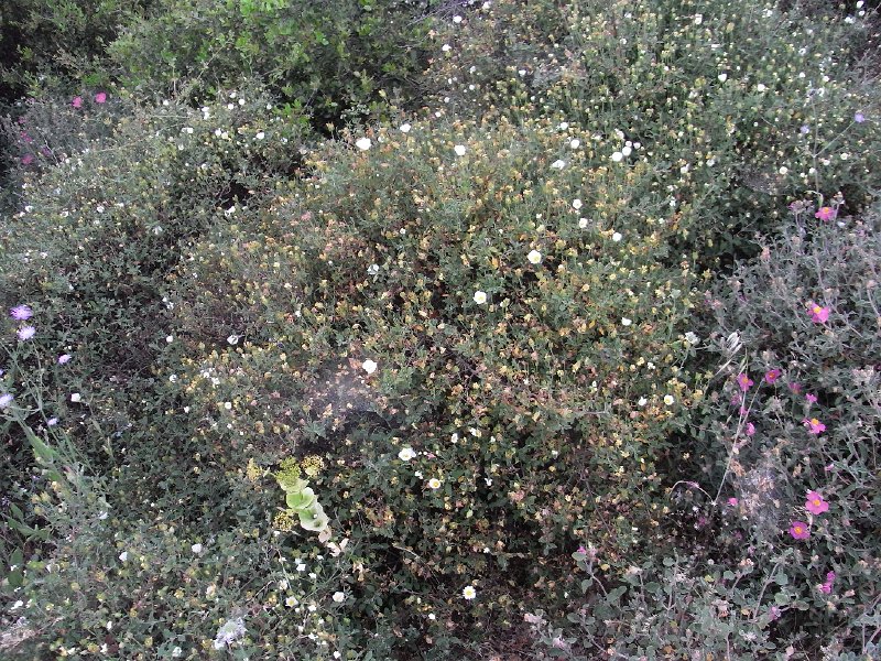 R0011763.JPG