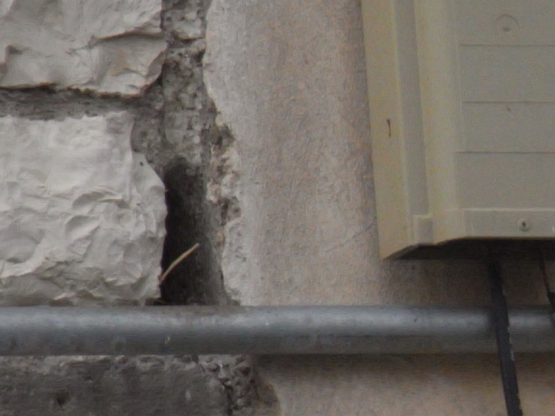 R0011765.JPG