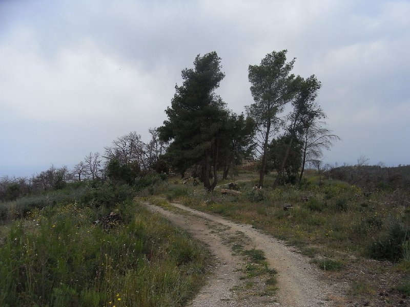R0011766.JPG