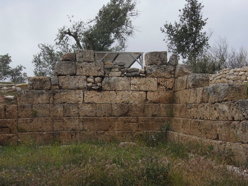 R0011768.JPG