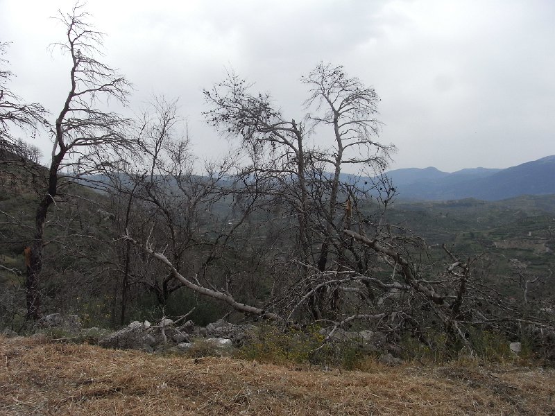 R0011771.JPG