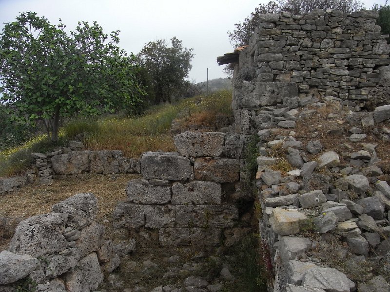 R0011777.JPG