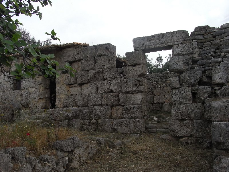 R0011778.JPG