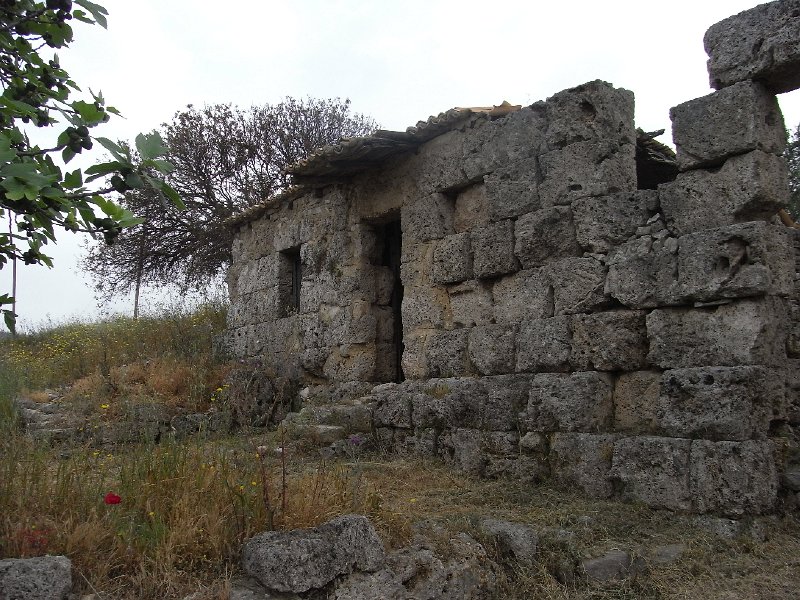 R0011779.JPG