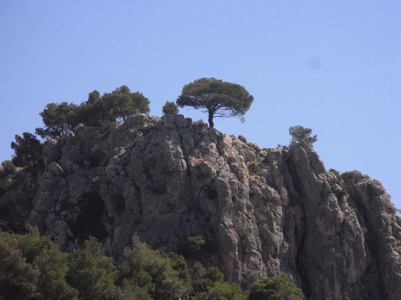R0011828.JPG