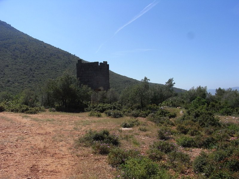 R0011833.JPG