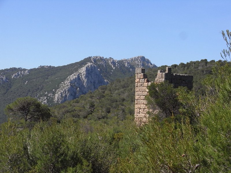 R0011834.JPG