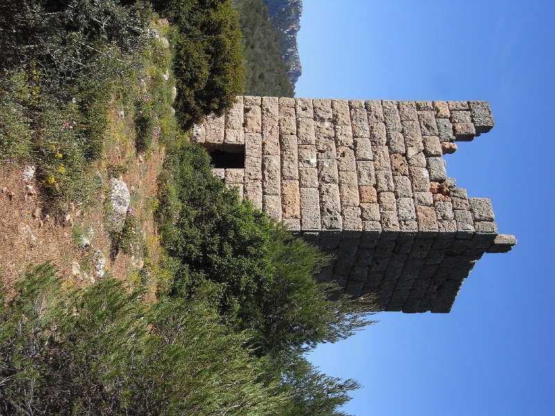 R0011835.JPG