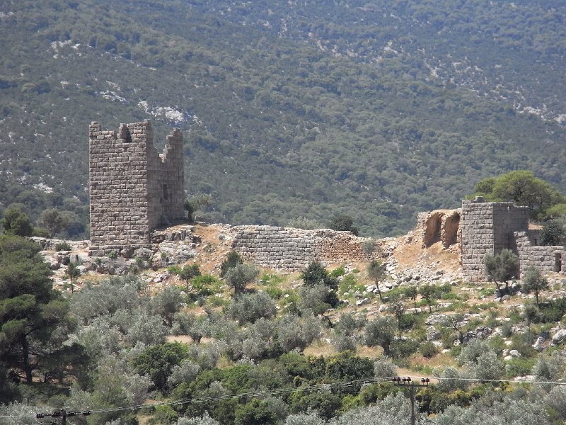 R0011842.JPG