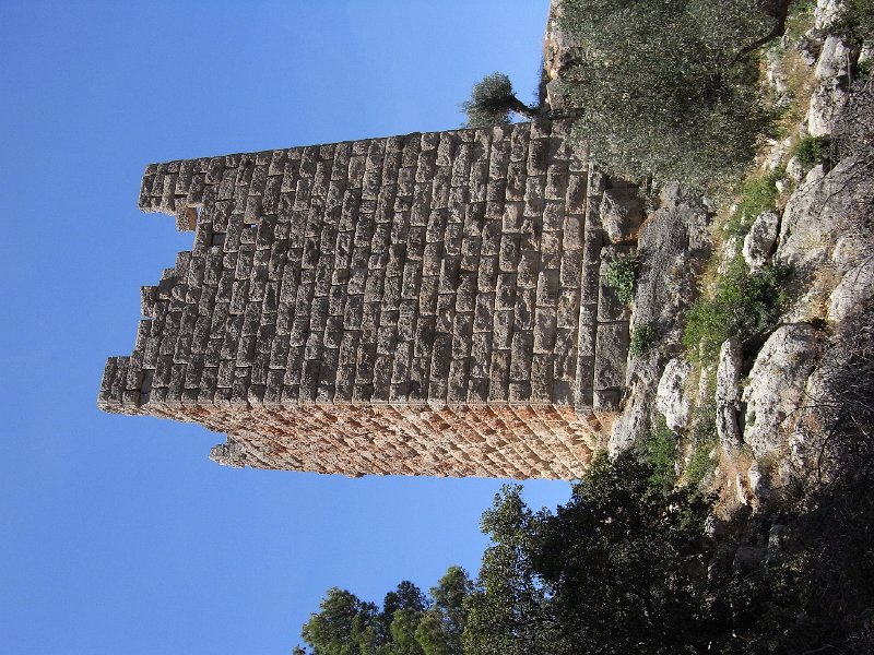 R0011845.JPG