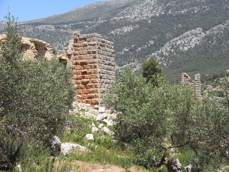 R0011846.JPG