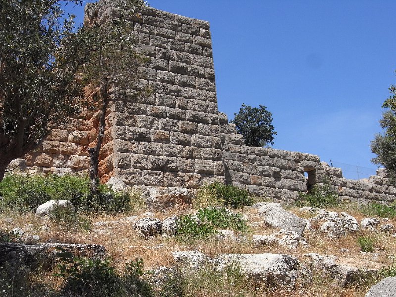 R0011847.JPG