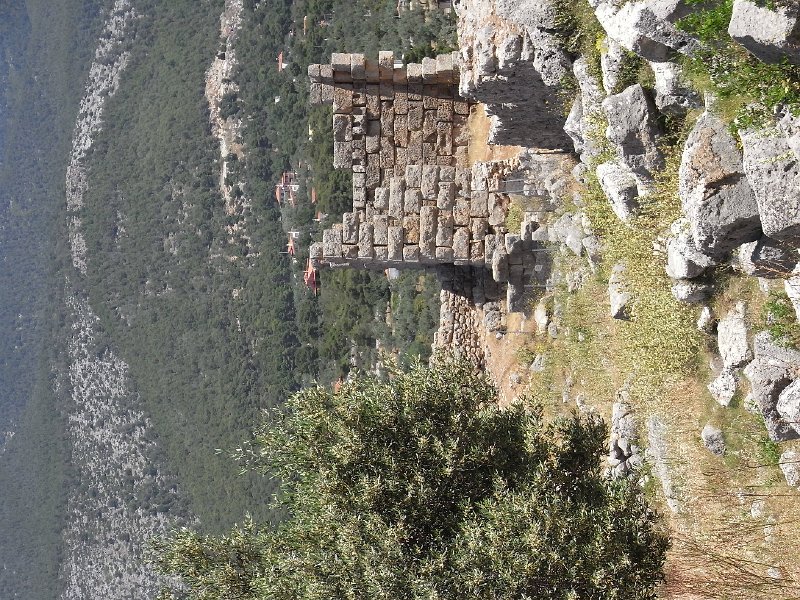 R0011850.JPG