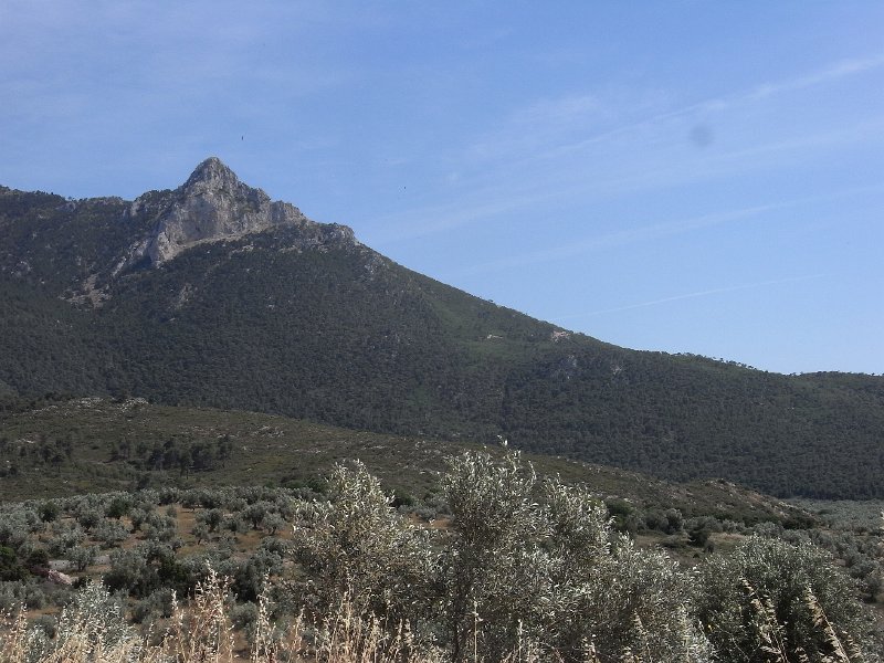 R0011856.JPG