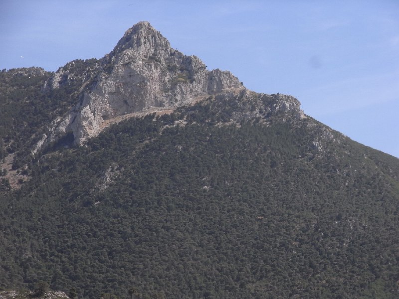R0011857.JPG
