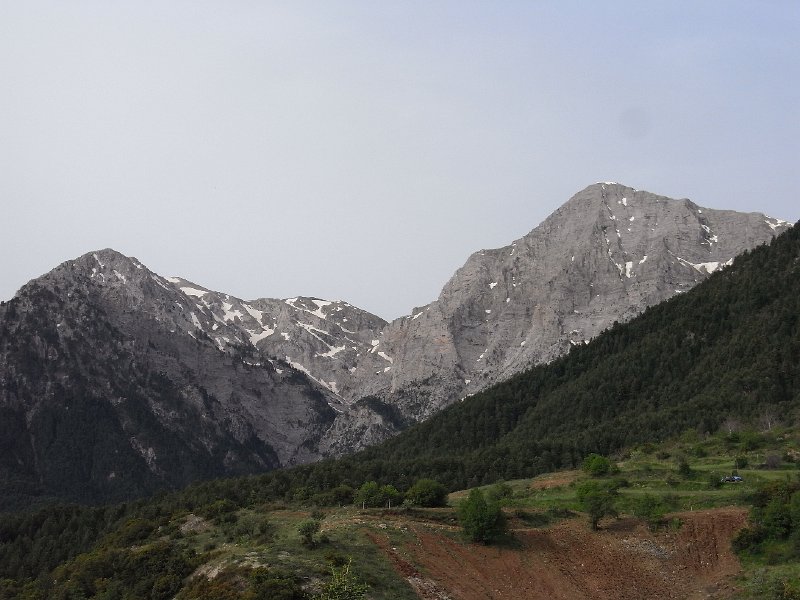 R0011877.JPG