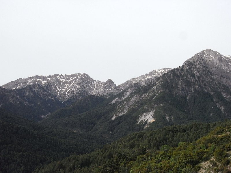 R0011878.JPG