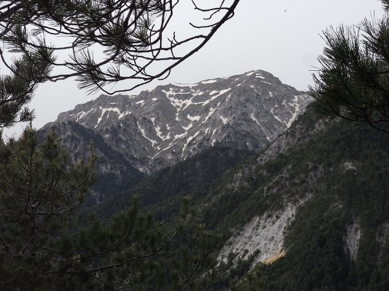 R0011882.JPG