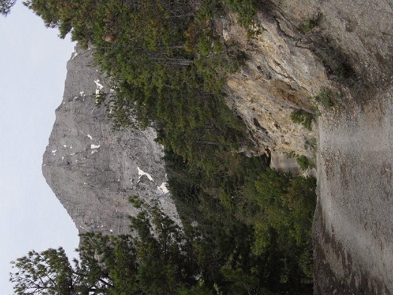 R0011883.JPG