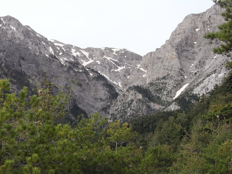 R0011884.JPG