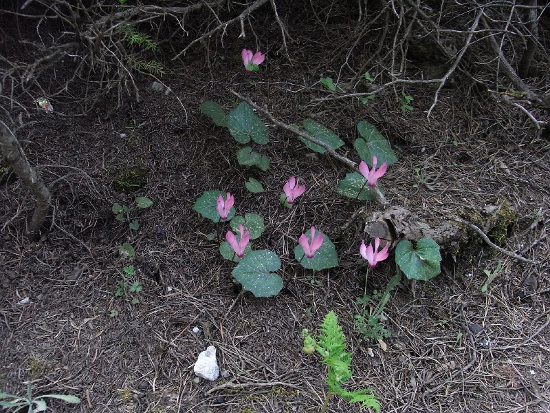 R0011887.JPG