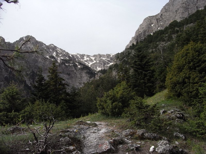 R0011888.JPG