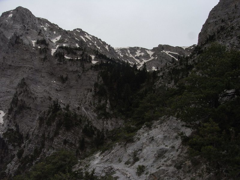 R0011890.JPG