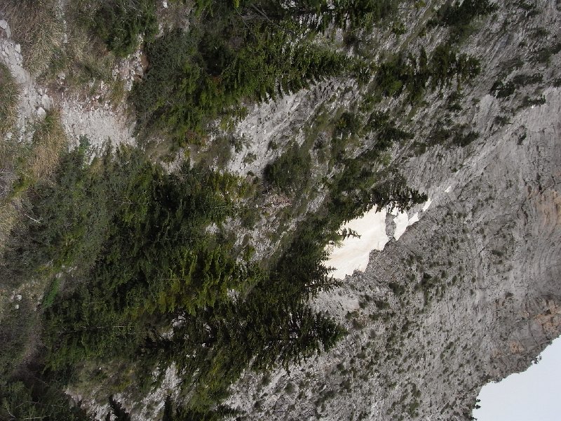 R0011891.JPG