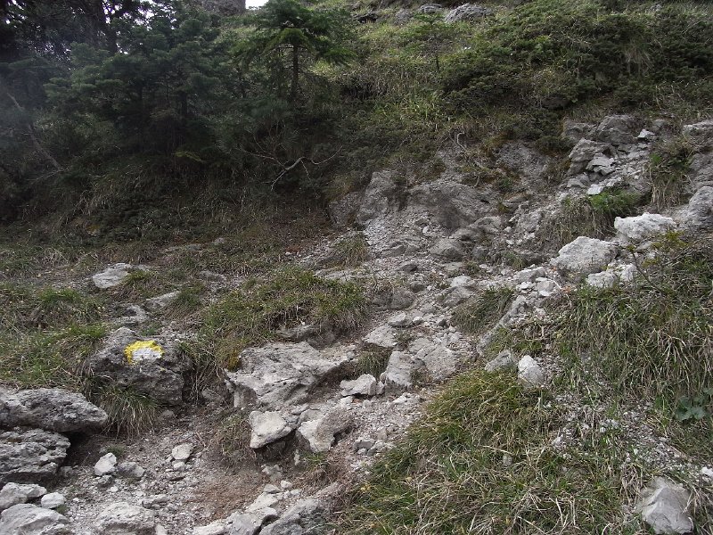 R0011892.JPG
