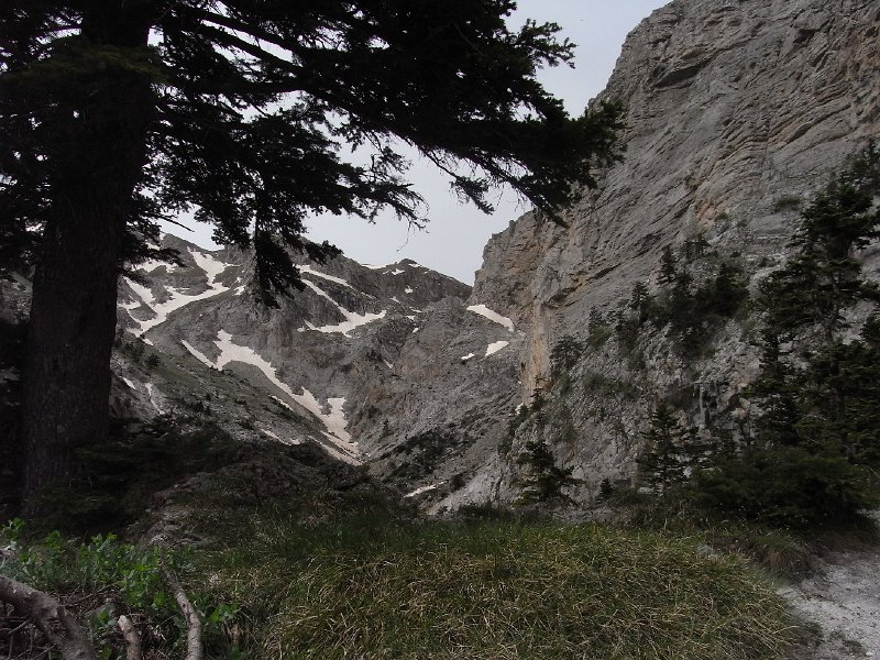 R0011893.JPG
