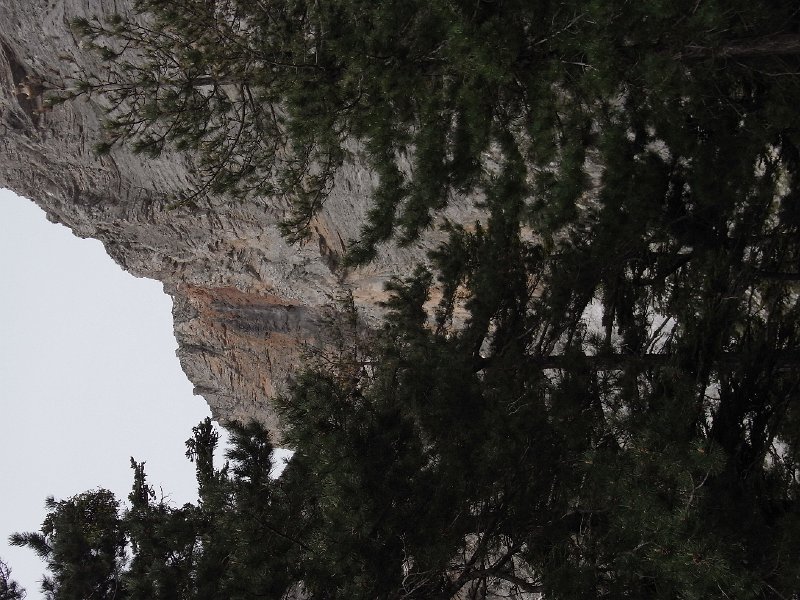 R0011895.JPG