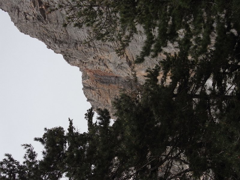 R0011896.JPG