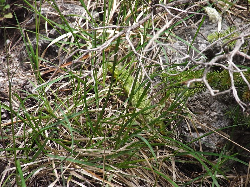 R0011905.JPG