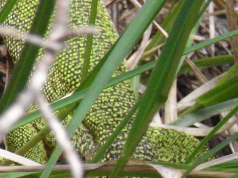 R0011909.JPG