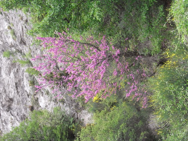 R0011911.JPG