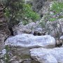 R0011345