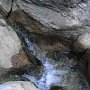 R0011350