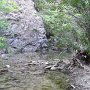 R0011353