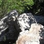 R0011373