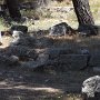 R0011409