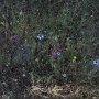 R0011436