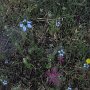 R0011437
