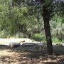 R0011454