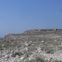 R0011506